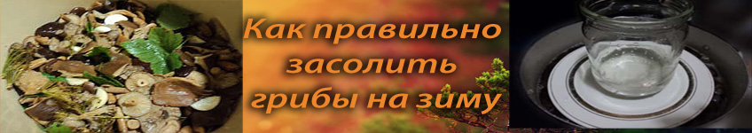 Как правильно солить грибы